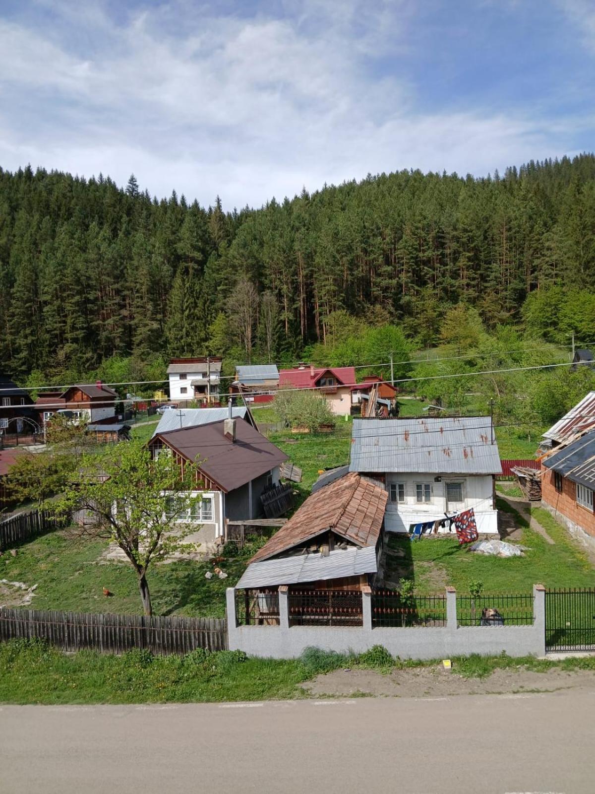 Forest View Câmpulung Moldovenesc Exterior foto